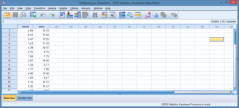 SPSS Statistics Developer screenshot