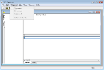 SQL Developer screenshot 2