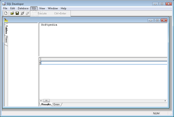 SQL Developer screenshot 3