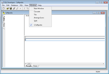 SQL Developer screenshot 4