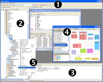 SQL Developer screenshot