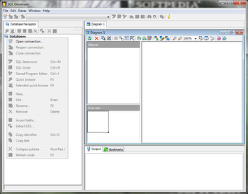 SQL Developer screenshot 4