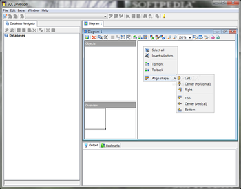 SQL Developer screenshot 5