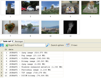 SQL Image Viewer screenshot 4