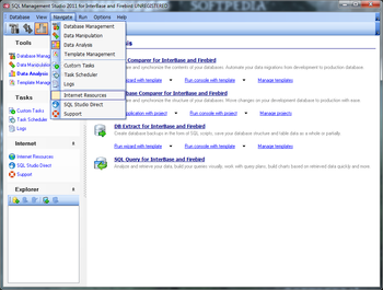 SQL Management Studio 2011 for InterBase and Firebird screenshot 4