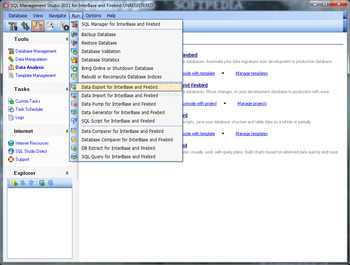 SQL Management Studio 2011 for InterBase and Firebird screenshot 5
