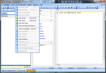 SQL Manager 2011 Lite for Oracle screenshot