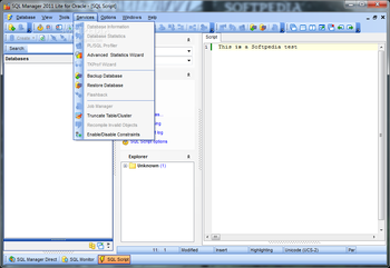SQL Manager 2011 Lite for Oracle screenshot 2