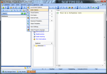 SQL Manager 2011 Lite for Oracle screenshot 3