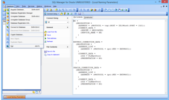 SQL Manager for Oracle screenshot 2