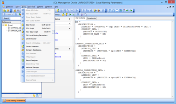 SQL Manager for Oracle screenshot 3