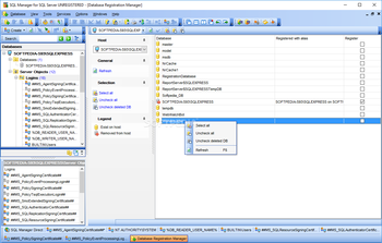 SQL Manager for SQL Server screenshot 10