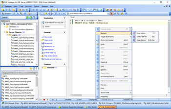 SQL Manager for SQL Server screenshot 11