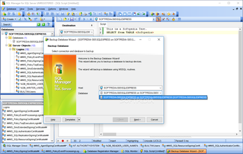 SQL Manager for SQL Server screenshot 12