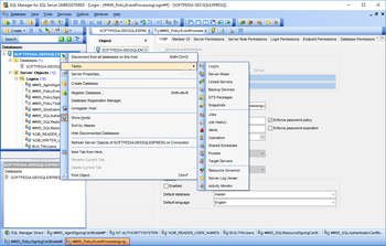 SQL Manager for SQL Server screenshot 2