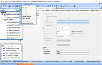 SQL Manager for SQL Server screenshot 8