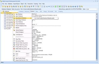 SQLite Expert Professional screenshot 2