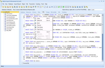 SQLite Expert Professional screenshot 4