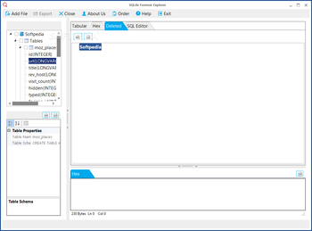 SQLite Forensic Explorer screenshot 4