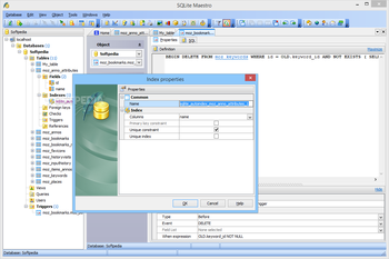 SQLite Maestro screenshot 14