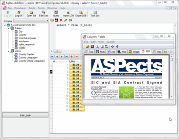 SqliteLobEditor screenshot 5
