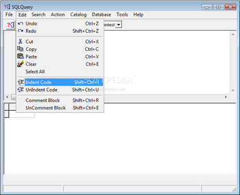 SQLQuery screenshot 2