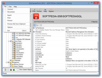 SQLServerPrint screenshot 2