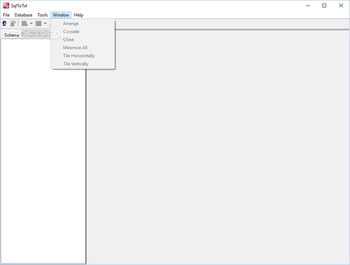 SqlToTxt screenshot 6