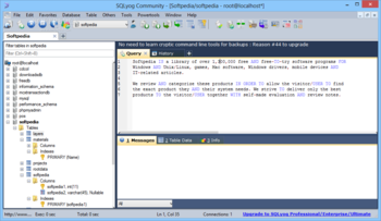 SQLyog Community Edition screenshot