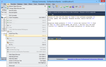 SQLyog Community Edition screenshot 4