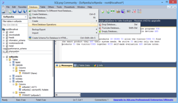 SQLyog Community Edition screenshot 5