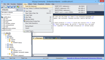 SQLyog Community Edition screenshot 6