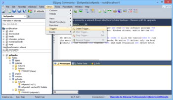 SQLyog Community Edition screenshot 7