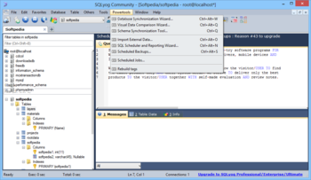 SQLyog Community Edition screenshot 8