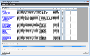 SSLDigger screenshot 2