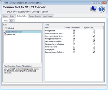 SSRS Security Manager screenshot 2