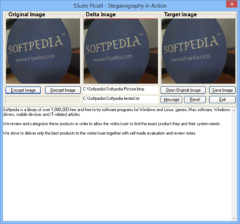 SSuite Picsel Security screenshot