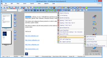 SSuite WordGraph Portable screenshot 8