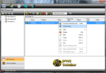 ST Proxy Switcher screenshot 2