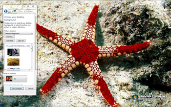 StarFish Windows 7 Theme screenshot