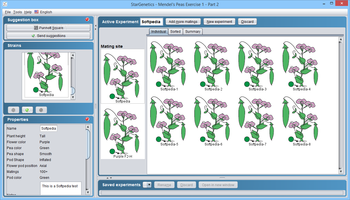 StarGenetics screenshot