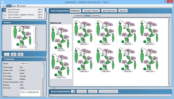 StarGenetics screenshot 4