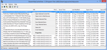 SteamHttpCacheView screenshot