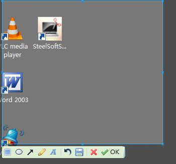 SteelSoftScreenShot screenshot