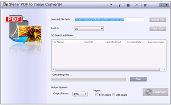 Stellar PDF to Image Converter screenshot 2