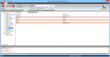 Stellar Phoenix Access Database Repair screenshot 2