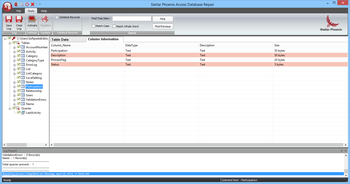 Stellar Phoenix Access Database Repair screenshot 3
