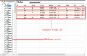 Stellar Phoenix Access Database Repair screenshot 2