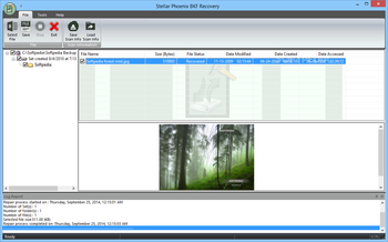 Stellar Phoenix BKF Recovery screenshot 2