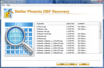 Stellar Phoenix DBF Recovery screenshot 2